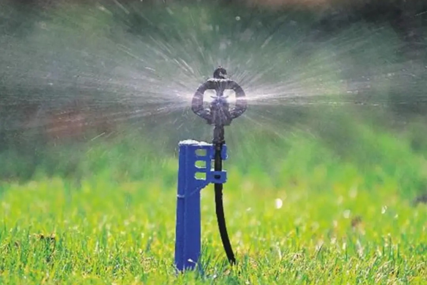 Microasperson Netafim